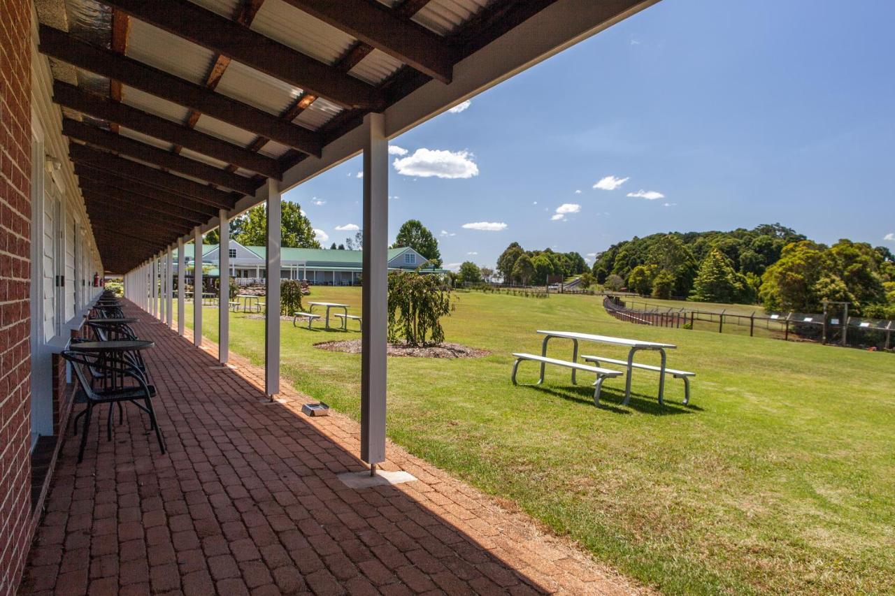 Lookout Mountain Retreat Dorrigo Exterior foto